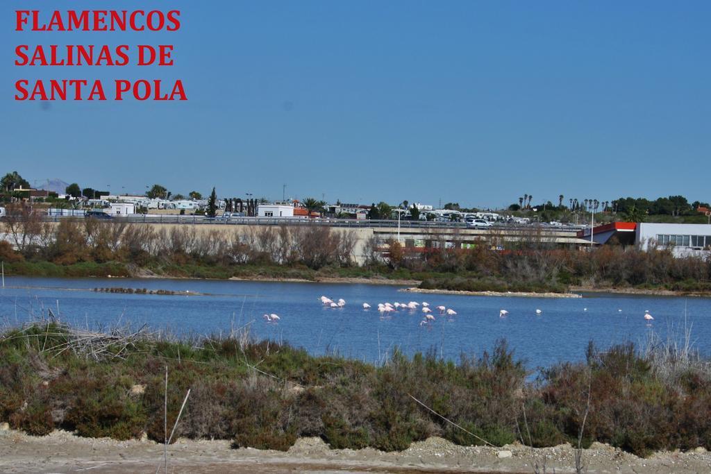 Estudio Marina De Santa Pola Exterior photo